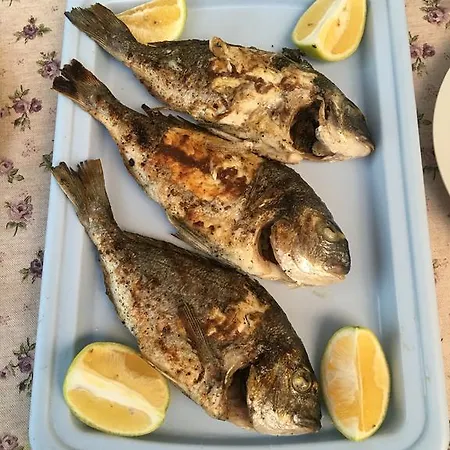 شقة D.o.o. Yury *