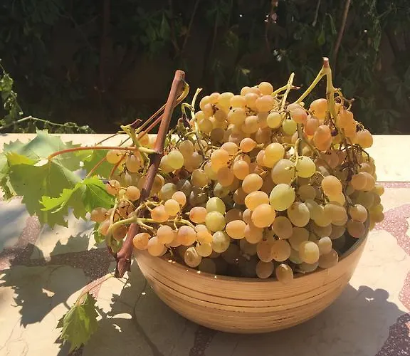 Apartament D.o.o. Yury *